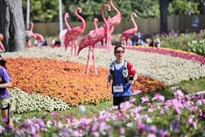 BIB: 
                            <button type="button" onclick="openModal(27793318)" class="btn btn-primary btn-sm float-right btn-popup" data-toggle="modal" data-target=".modal-high-quality">
                        <i class="fas fa-shopping-cart"></i> Add to Cart
                    </button>
                                            <button type="button" onclick="isThisMe(27793318, true)" class="btn btn-success btn-sm float-right btn-popup btn-isme hidden" data-toggle="tooltip" data-placement="bottom" title="นี่คือรูปของคุณใช่ไหม คลิกที่นี่เพื่อเอาเข้าอัลบั้ม">
                        <i class="fas fa-plus"></i> Add to album
                    </button>
                    <button type="button" onclick="isThisMe(27793318, false)" class="btn btn-warning btn-sm float-right btn-popup btn-isnotme hidden">
                        <i class="fas fa-ban"></i> Remove from album
                    </button>